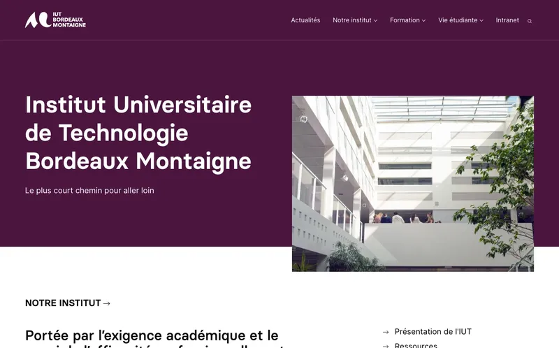 Iut De Bordeaux Montaigne classement, campus, admission