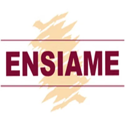 Avis Ensiame - Ecole Nationale Superieure D'Ingenieurs En Informatique Automatique Mecanique Energetique Et Electronique