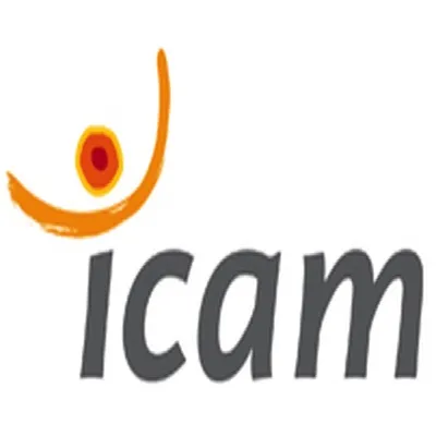 Icam Toulouse
