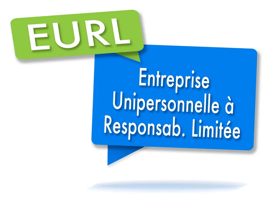 eurl ou micro entreprise quel regime juridique privilegier pour lancer sa societe en ligne
