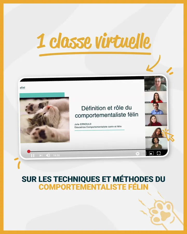 apprendre un metier a distance pour travailler avec les animaux 1