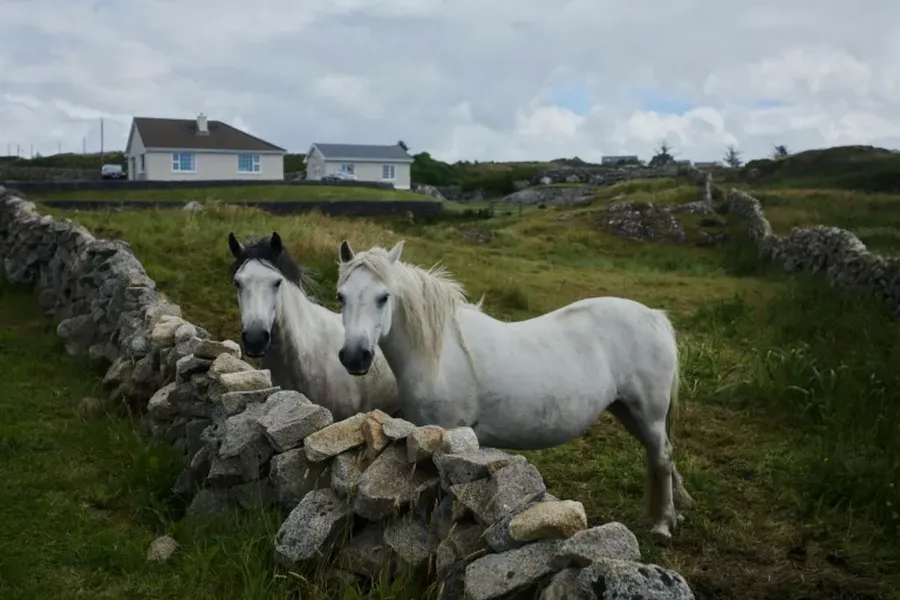 sejours linguistiques irlande sejours linguistiques irlande